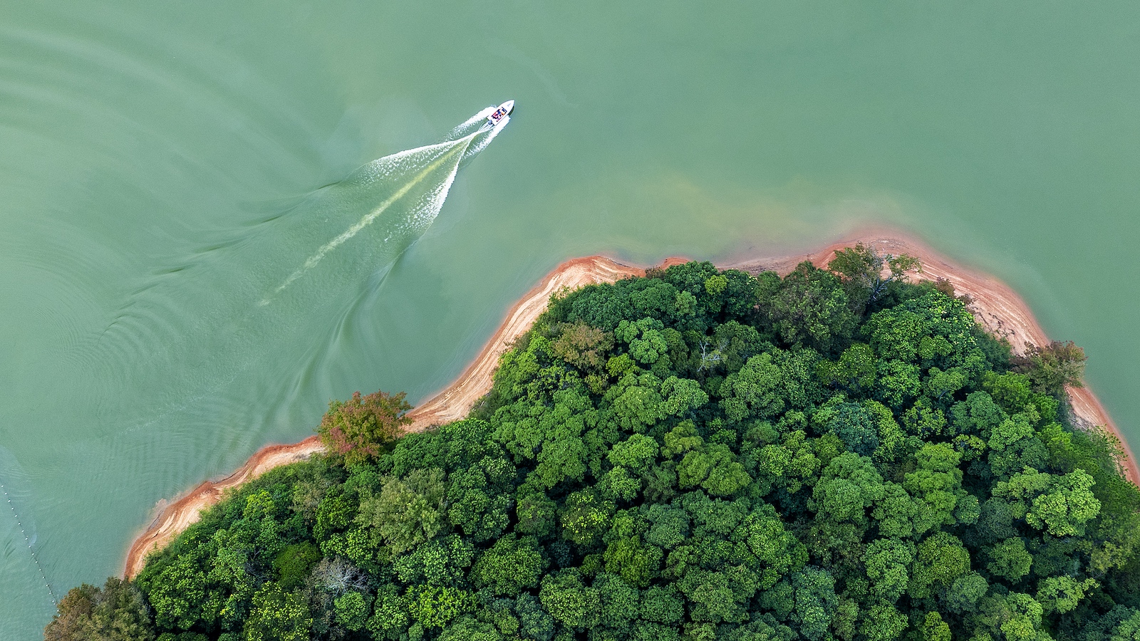 China pushes forward legislative process of draft environmental code