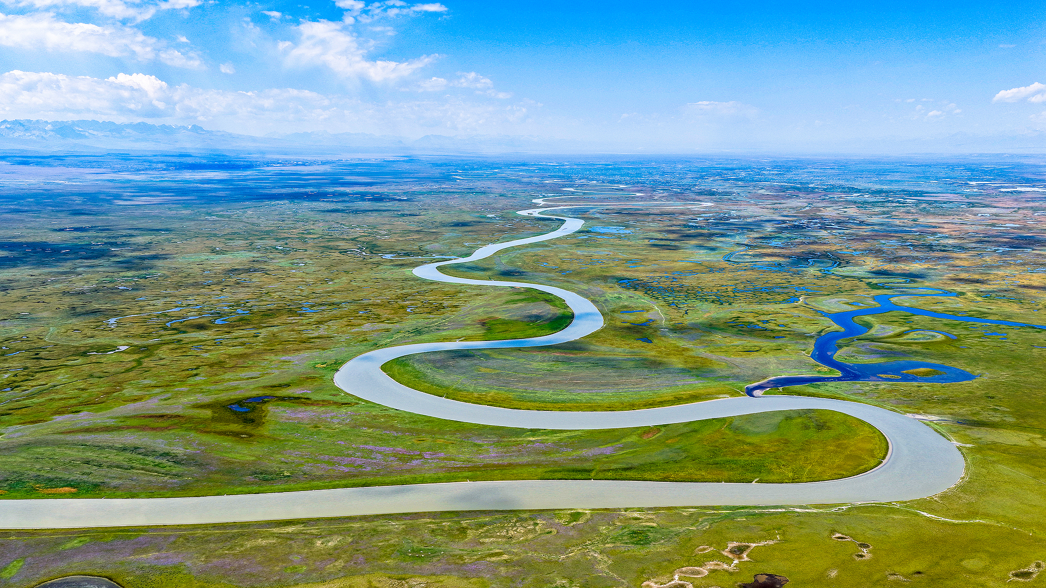 Xinjiang color palette: Bayanbulak Grassland, a haven of serenity