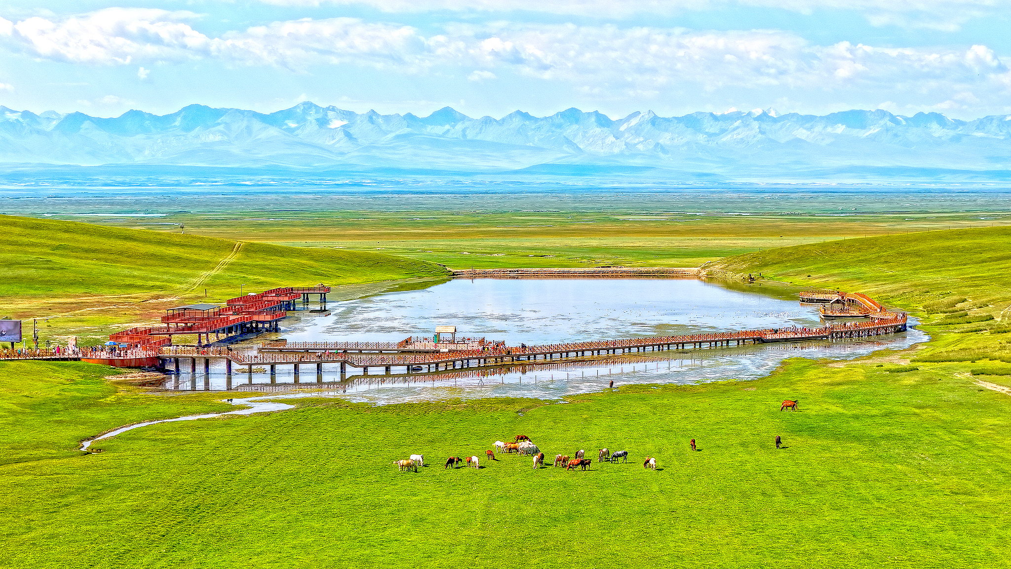 Xinjiang color palette: Bayanbulak Grassland, a haven of serenity