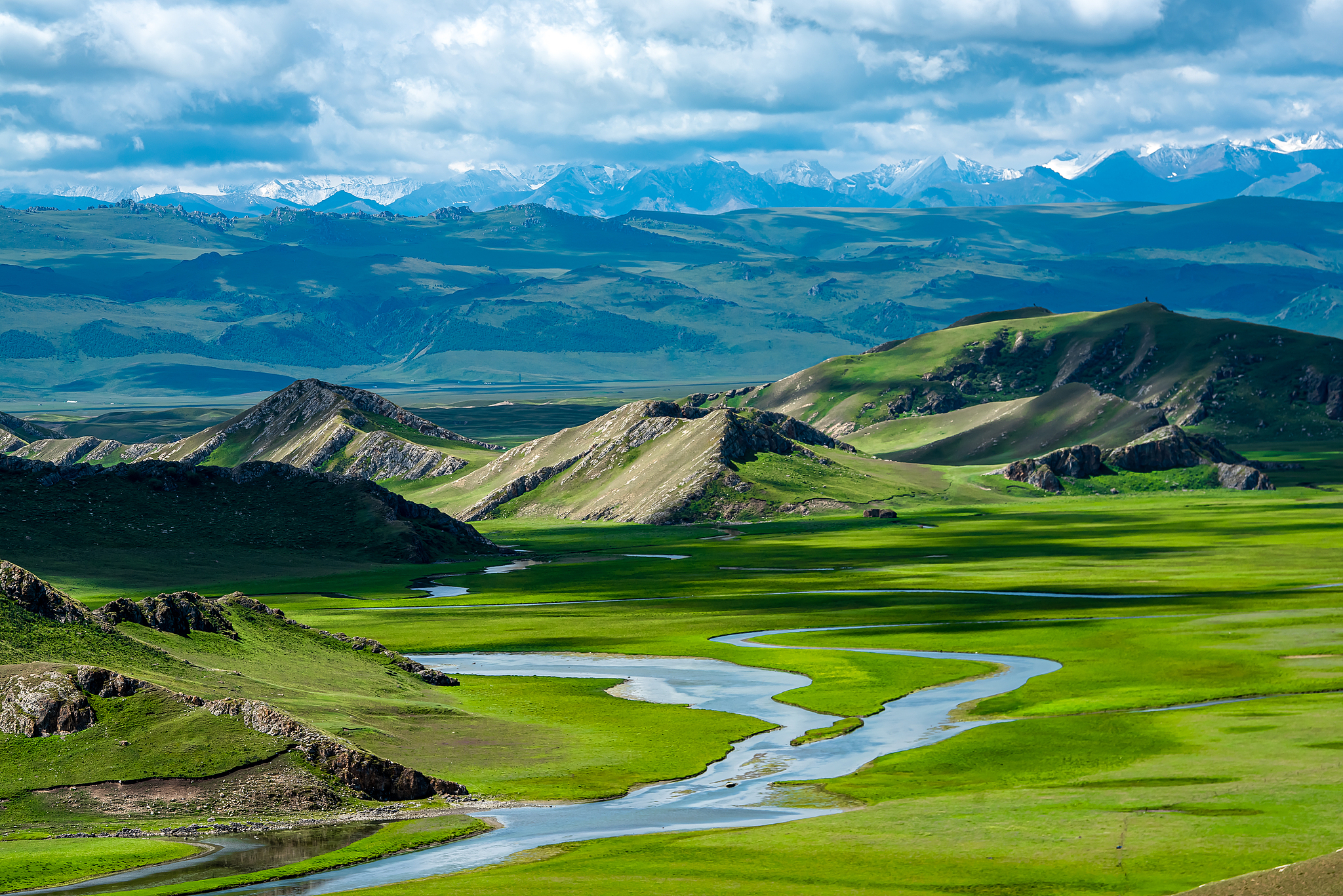 Xinjiang color palette: Bayanbulak Grassland, a haven of serenity