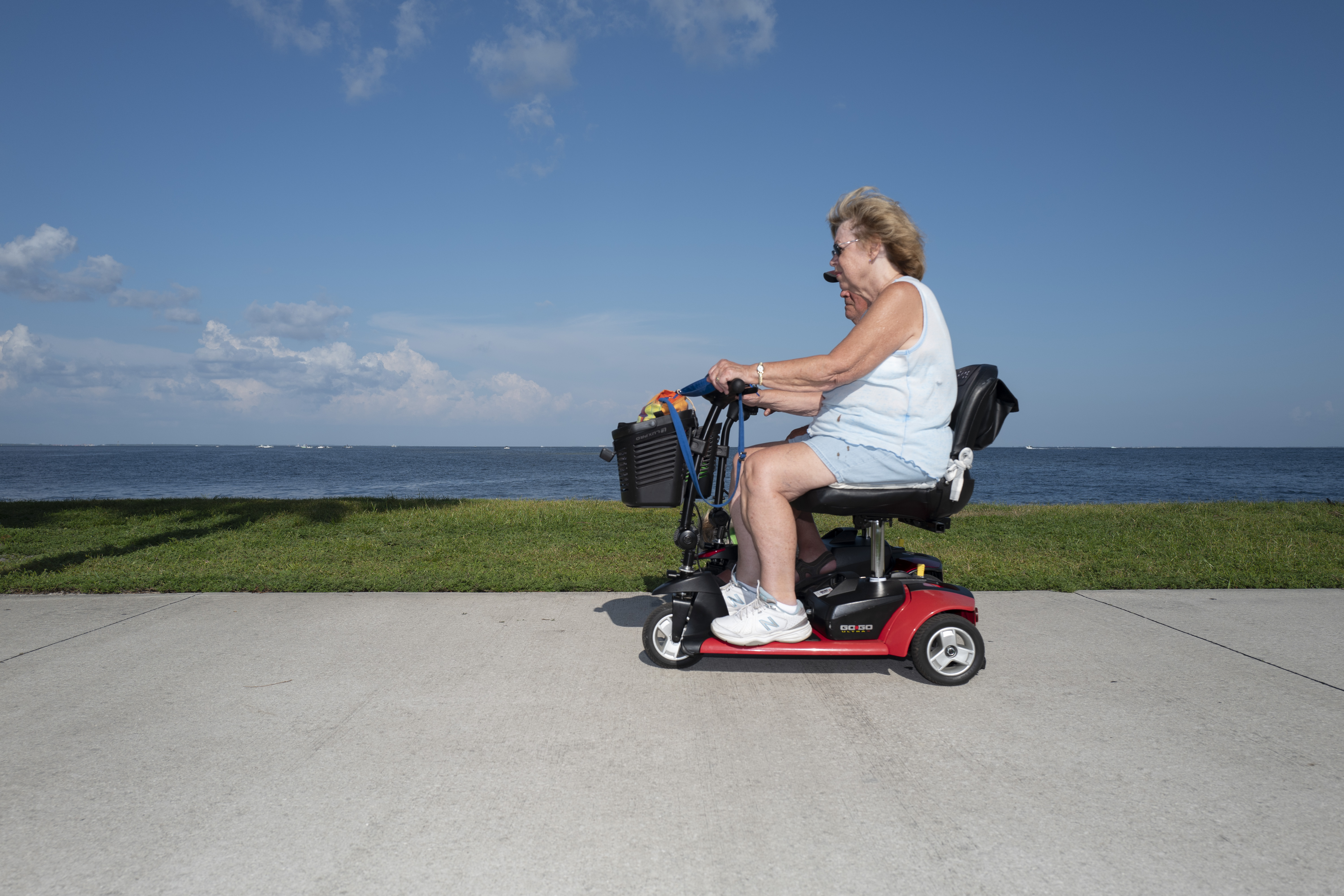 UN@80: Young visions for a shared tomorrow