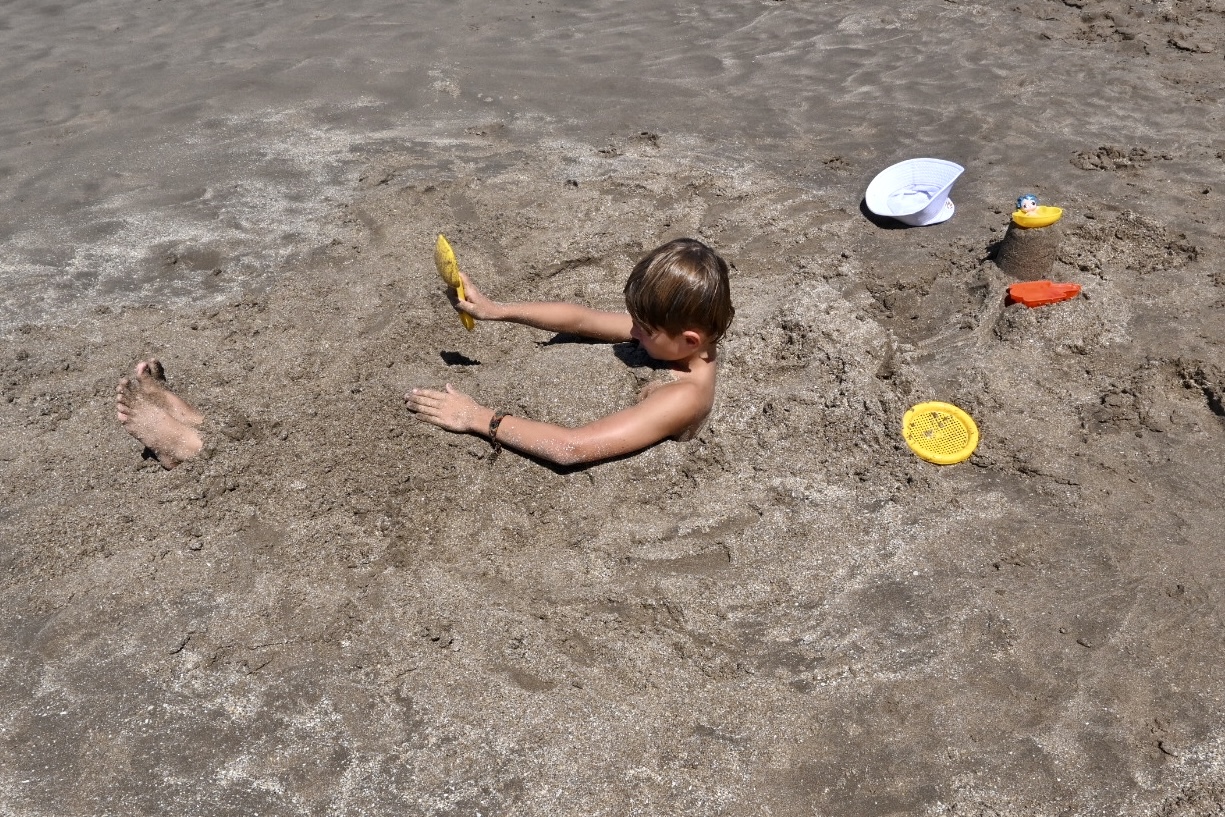 UN@80: Young visions for a shared tomorrow