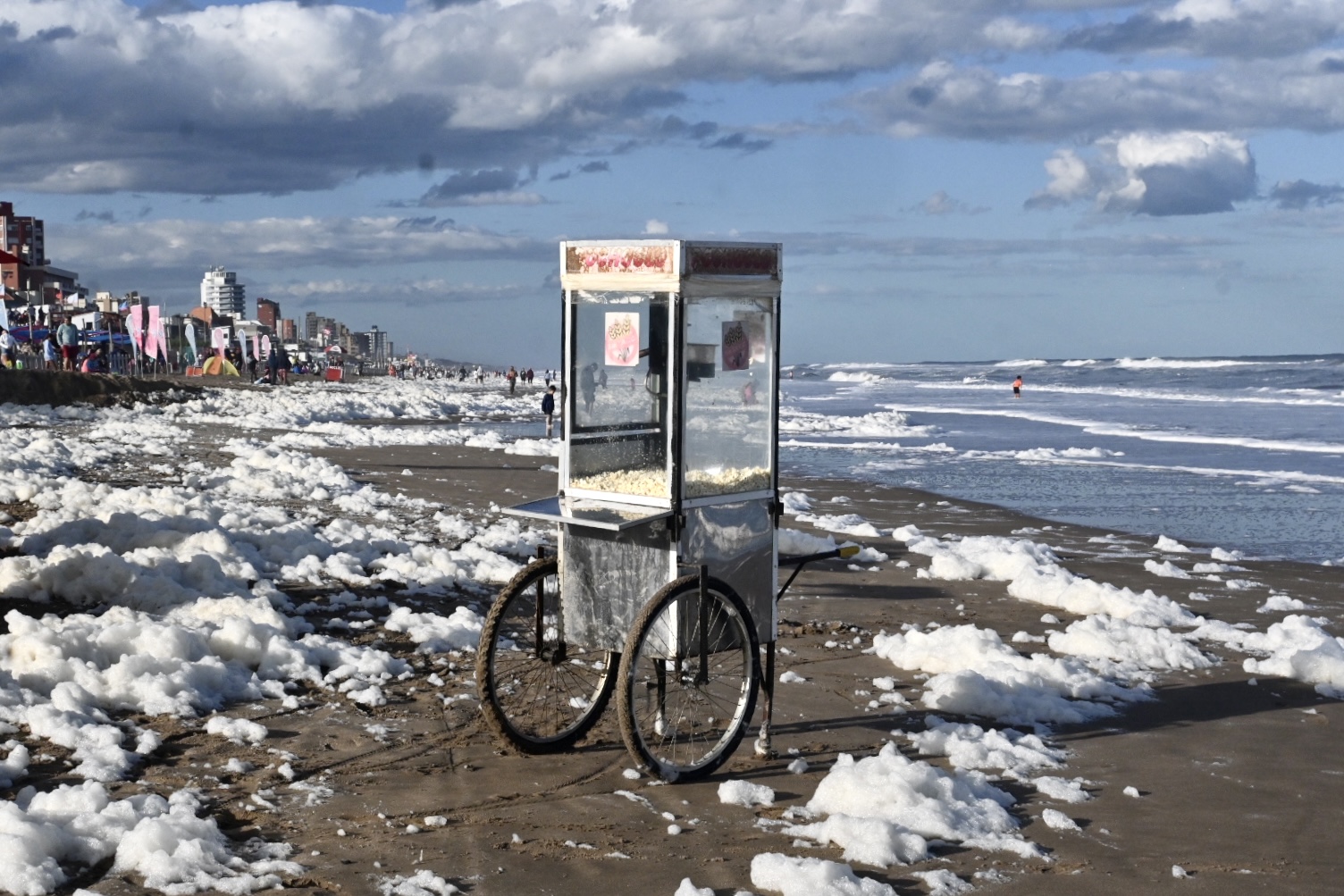 UN@80: Young visions for a shared tomorrow