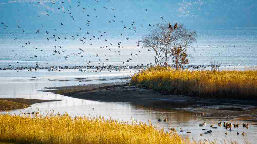 A view of Lake Noto National Park in Abashiri City, Hokkaido, Japan, October 26, 2024. The gentle morning sun shone down, lush grass swayed in the breeze, and flocks of birds flew joyfully across the sky. This vibrant scene reflects the UN Sustainable Development Goals of protecting 