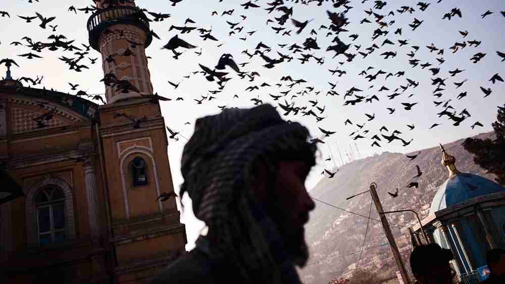 In December 2016, outside an old mosque in Kabul, Afghanistan, flocks of pigeons fluttered through the dusty air, wings catching the shifting light, while a lone man stood quietly in place. This land, once shrouded in the shadow of explosions, saw pigeons foraging beside rubble and people moving cautiously through the streets. Fragile lives, each in their own way, were striving to endure – every beat of wings, every measured step, carrying the most simple yet urgent yearning for peace. The moment captured in this frame is a vivid testament to the meaning of peace: not a distant slogan, but the everyday reality of pigeons circling undisturbed and people walking without fear. It echoes the United Nations Sustainable Development Goal of building 