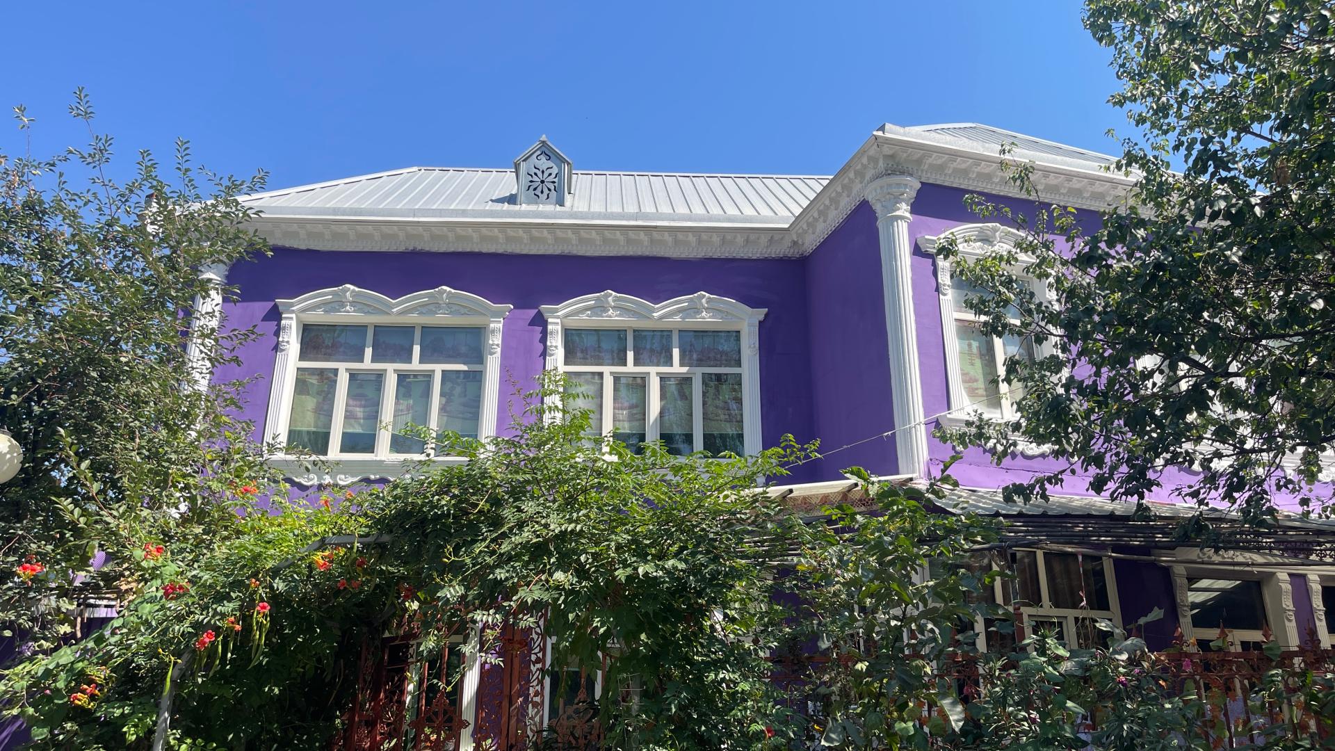 Xinjiang color palette: Discover Ili's vibrant hues of lavender