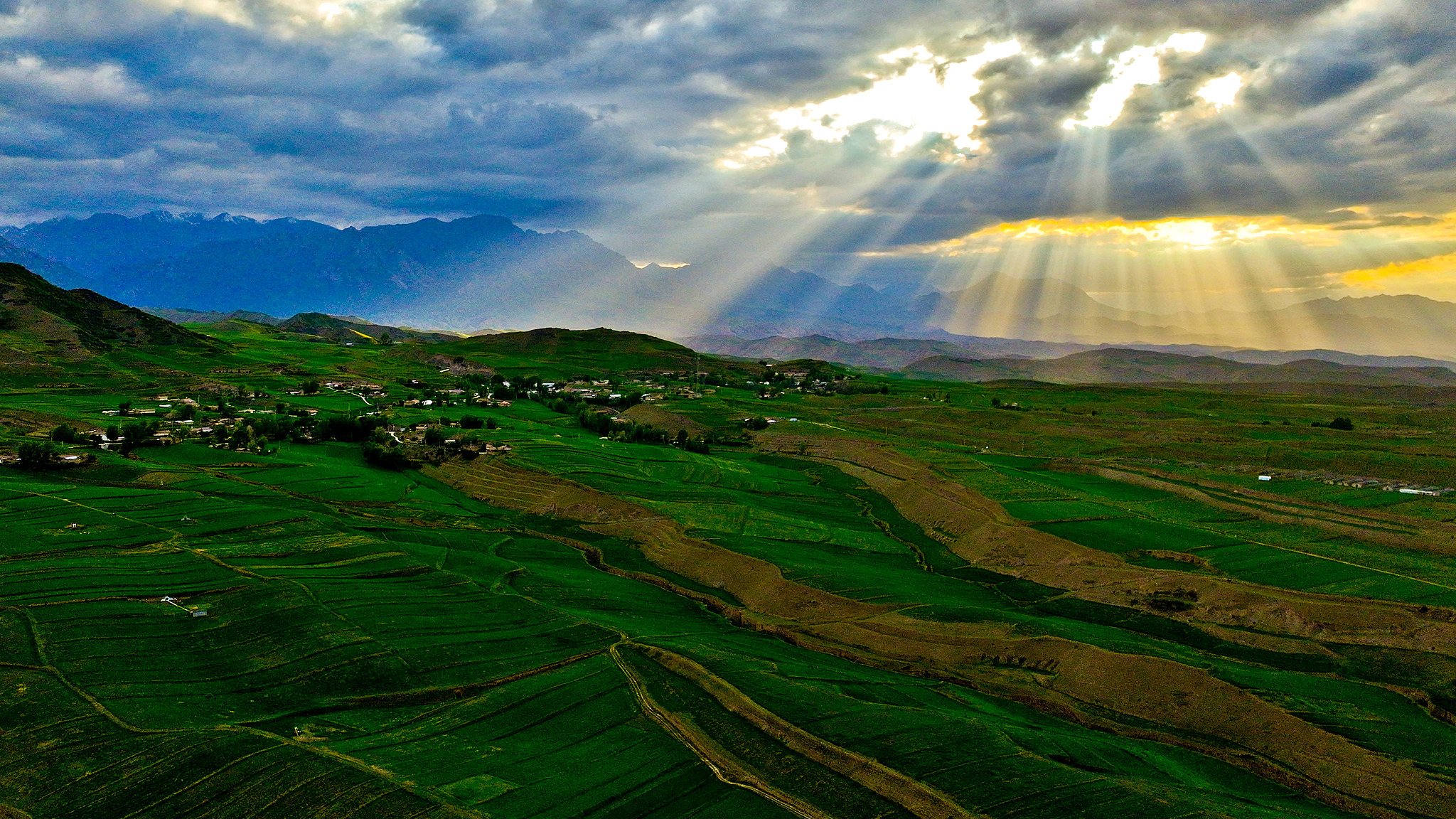 China adopts law dedicated to national park development