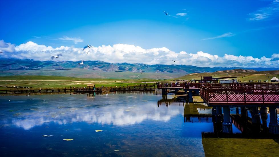 Live: Wandering by Bayanbulak Swan Lake