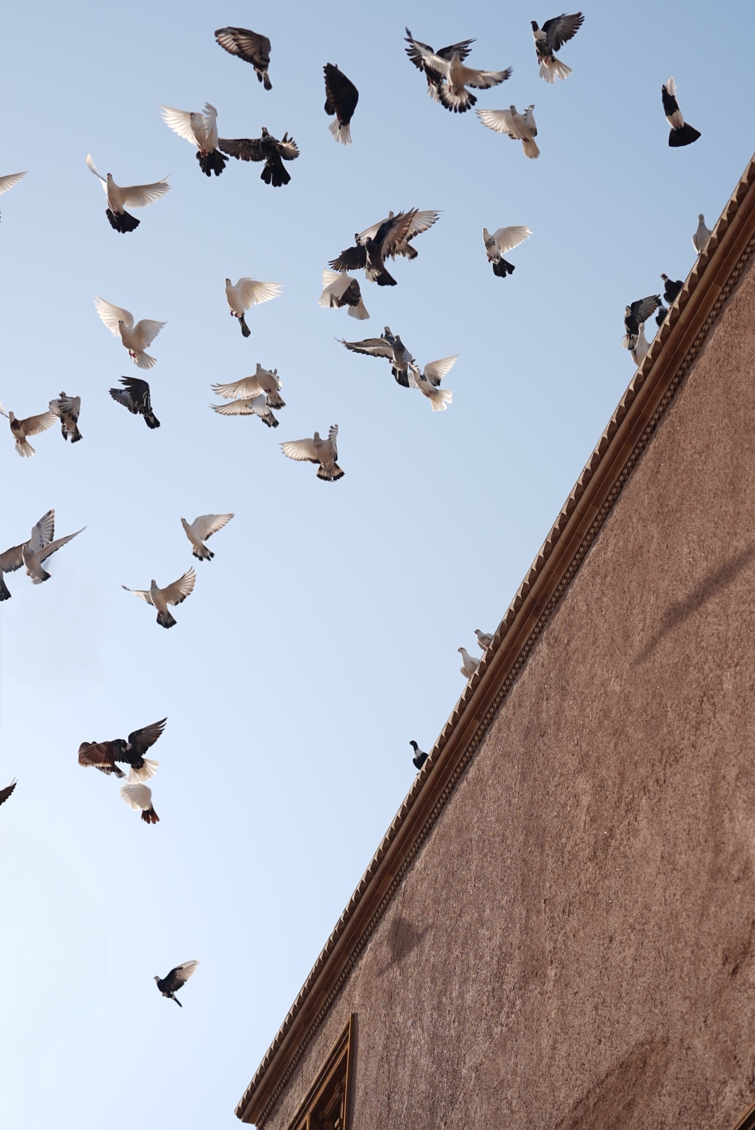 Xinjiang color palette: Explore Kashi's earthy beauty