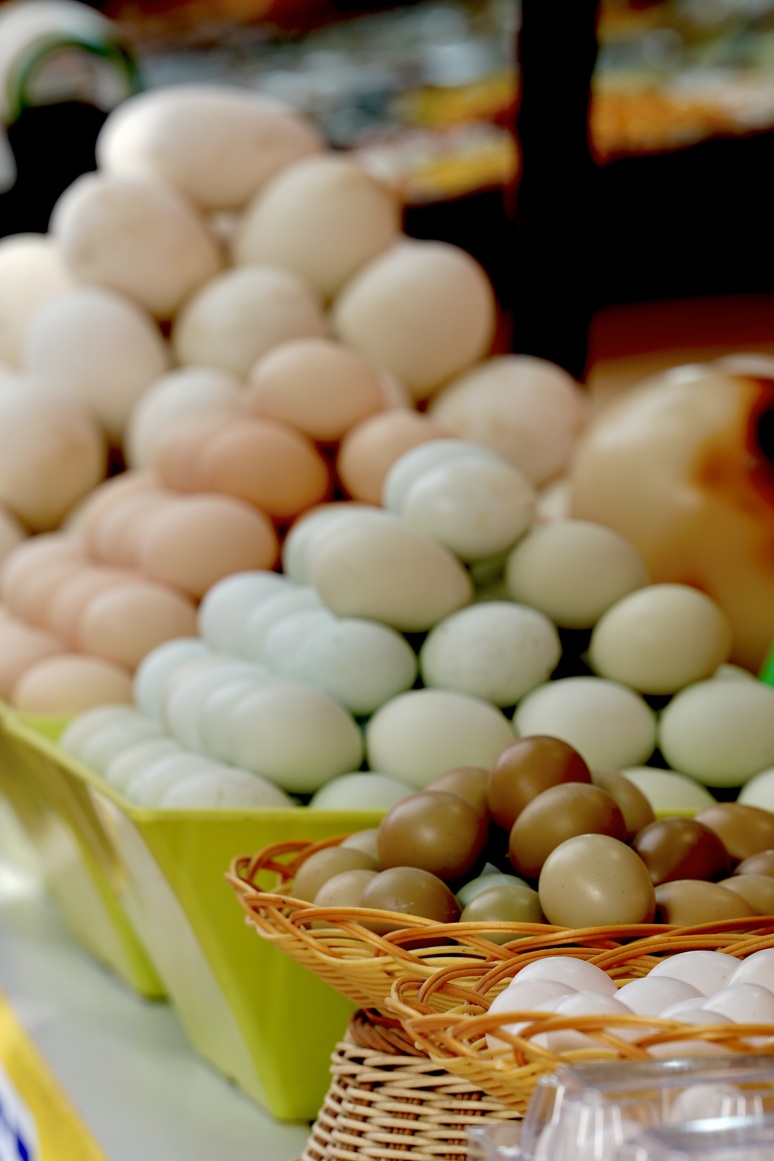 Xinjiang color palette: Explore Kashi's earthy beauty