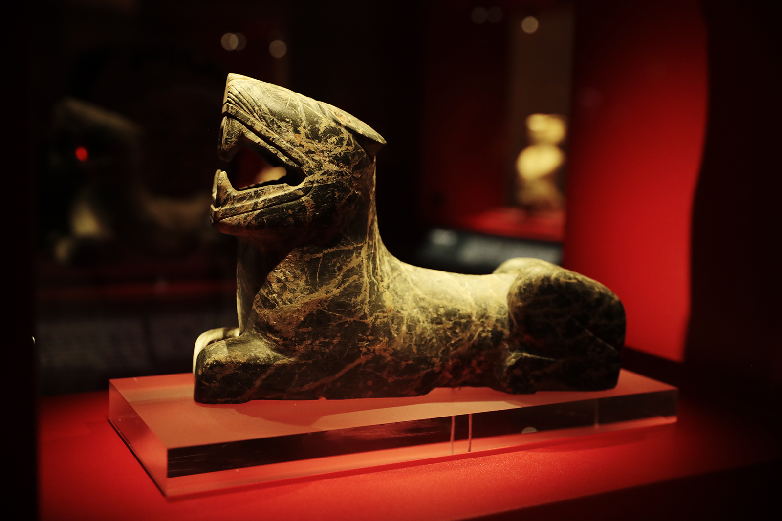 A stone tiger can be seen on display at the Jinsha Site Museum in Chengdu, Sichuan Province. /CGTN