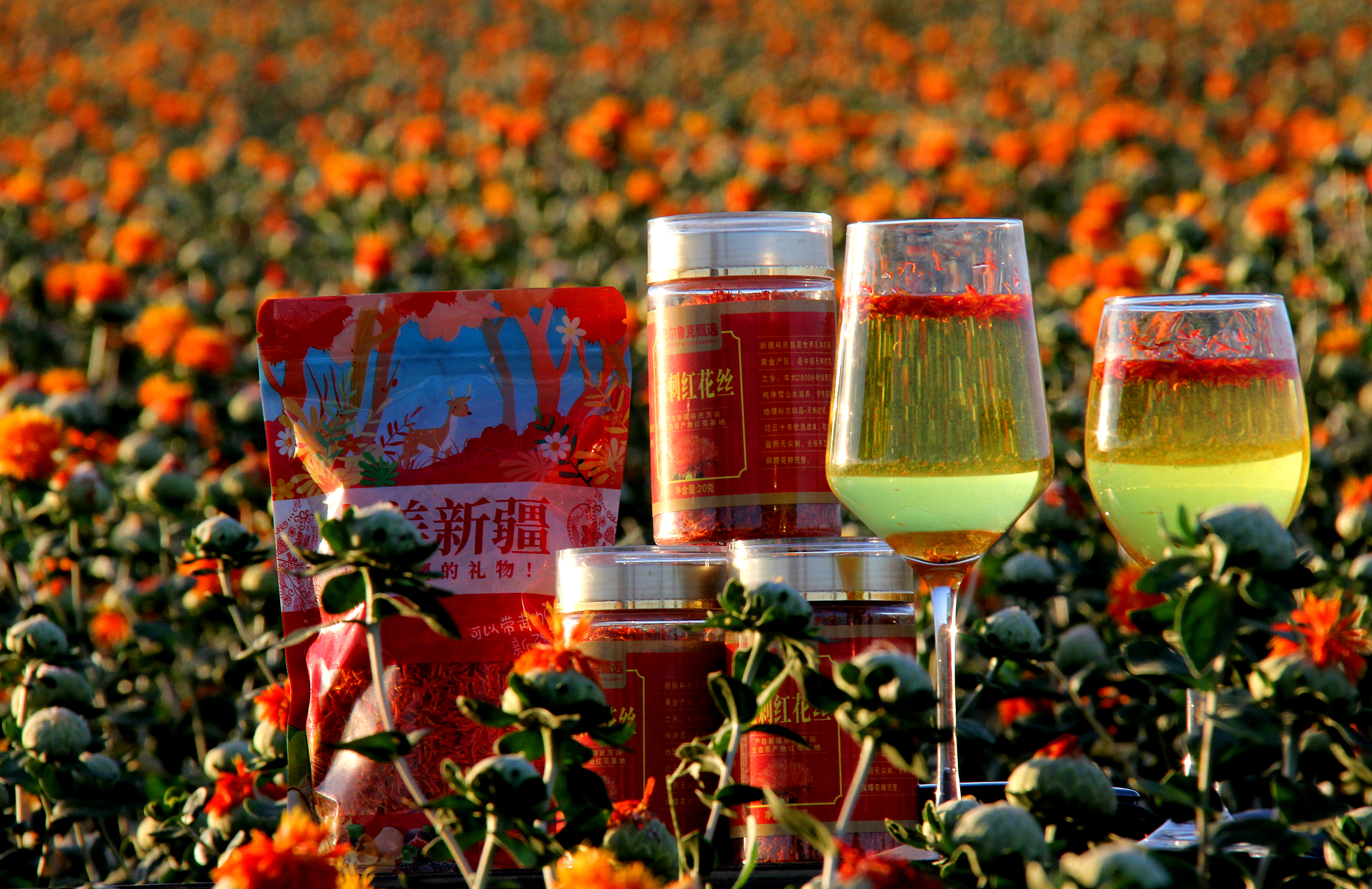 Xinjiang color palette: Safflower industry boosts local economy