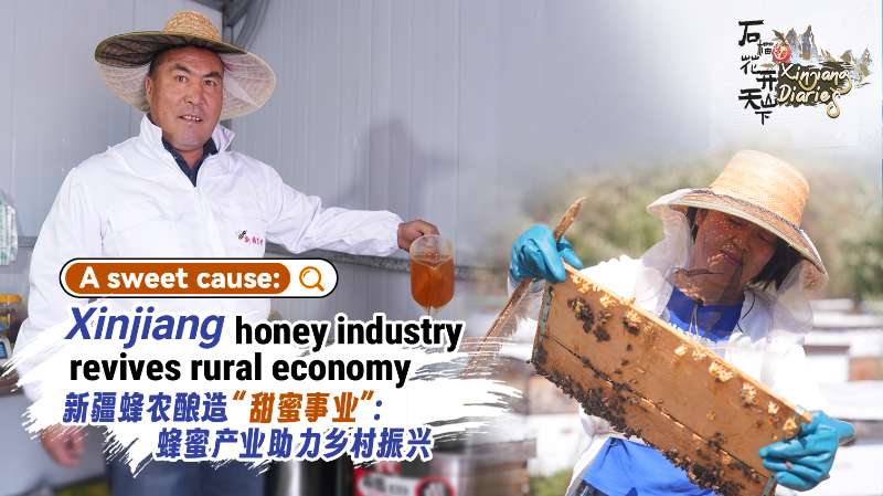 A sweet cause: Xinjiang honey industry revives rural economy