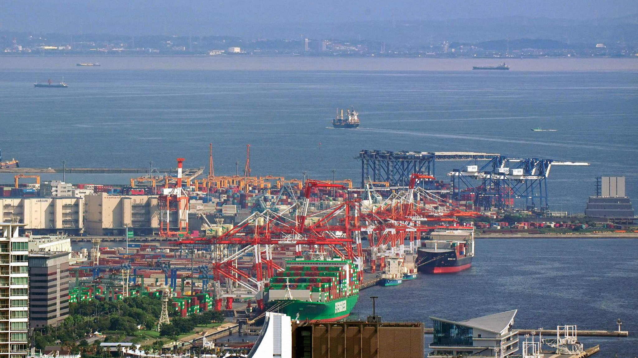 Container ships dock at the international cargo terminal in Tokyo, Japan, August 14, 2025. /VCG