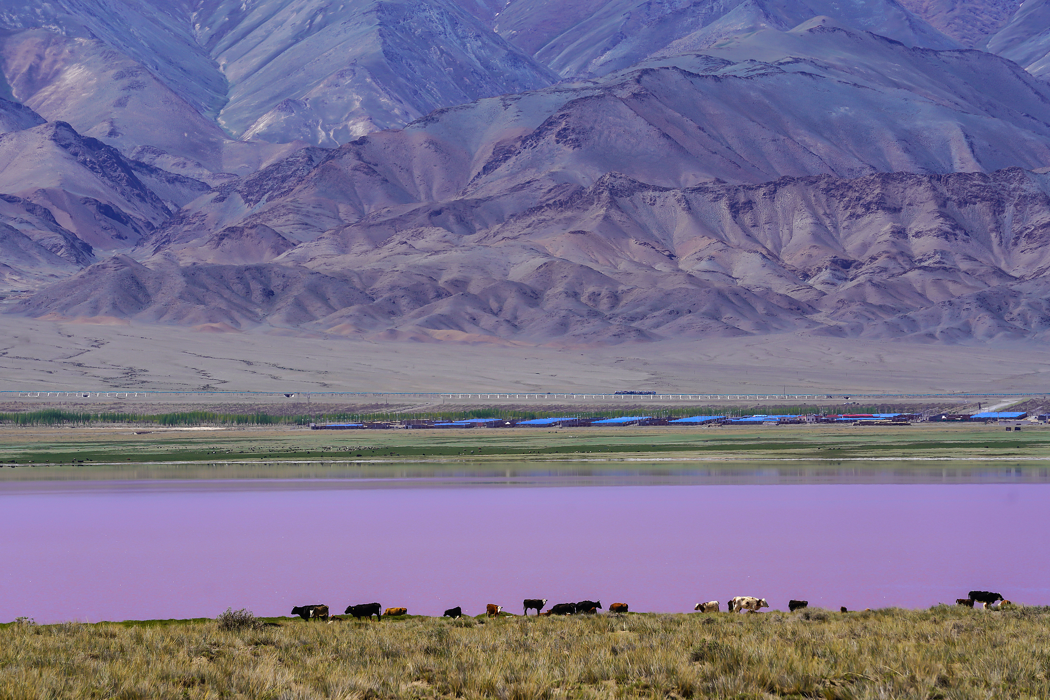 Xinjiang color palette: Tuolekule Lake, a shimmering dreamland