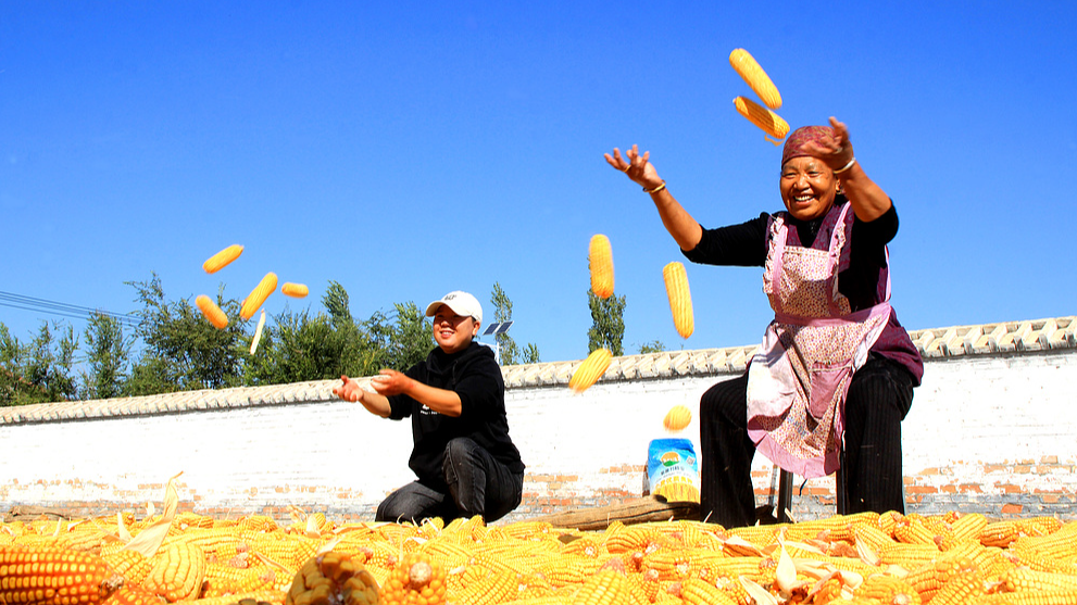 Average life expectancy in Xinjiang rises to 77: white paper