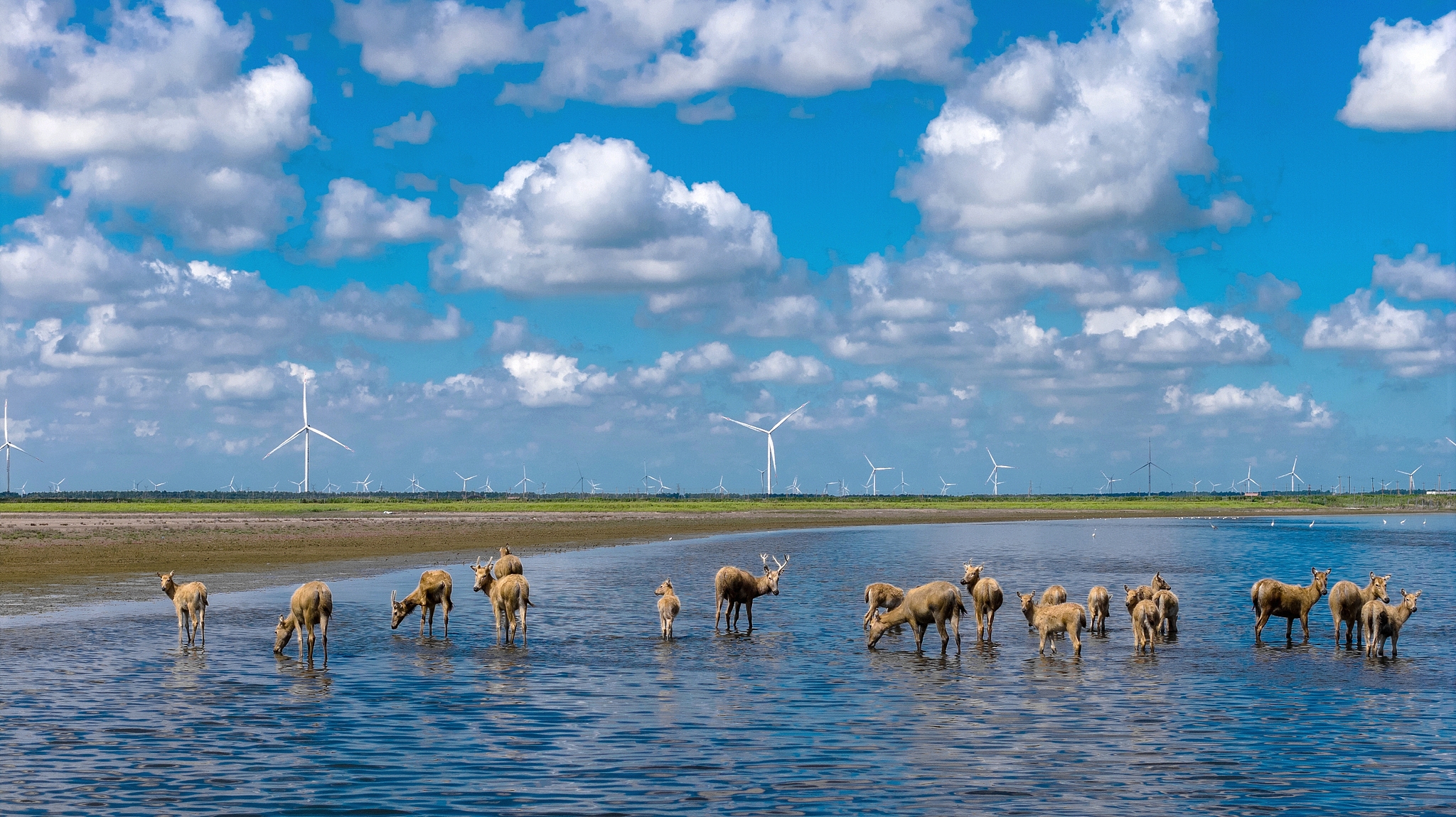 China is getting cleaner and greener, major report says