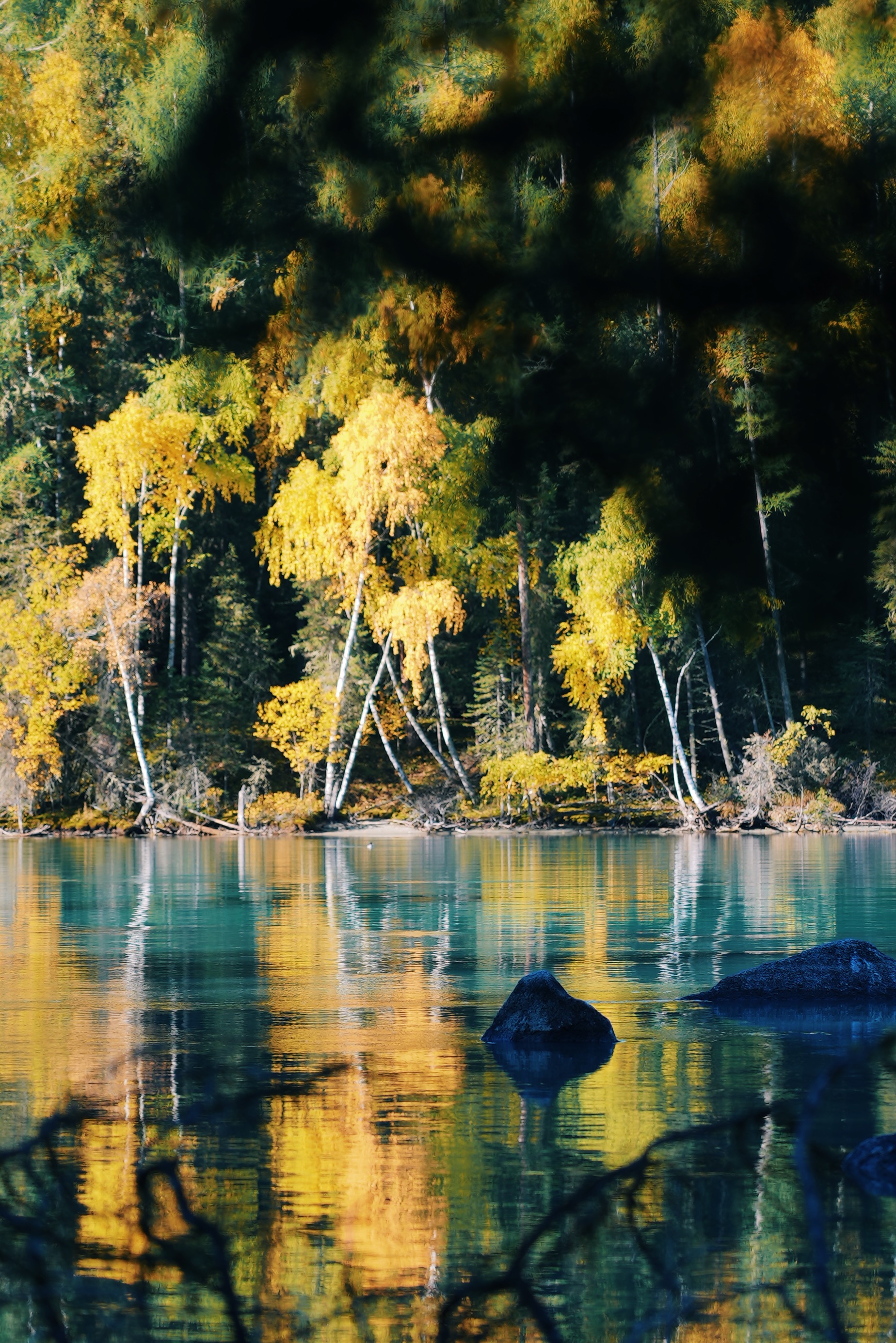 Xinjiang color palette: Explore Altay's multicolored landscapes