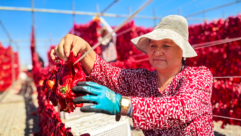 Xinjiang in its best period of development in history: white paper