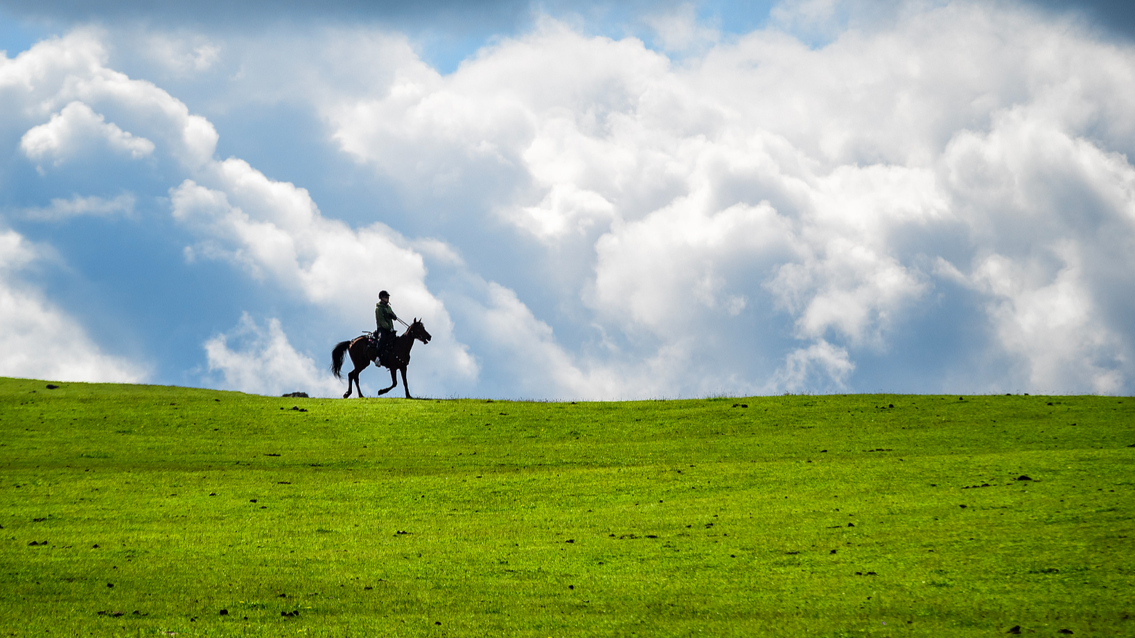 Live: Immerse yourself in Kalajun Grassland