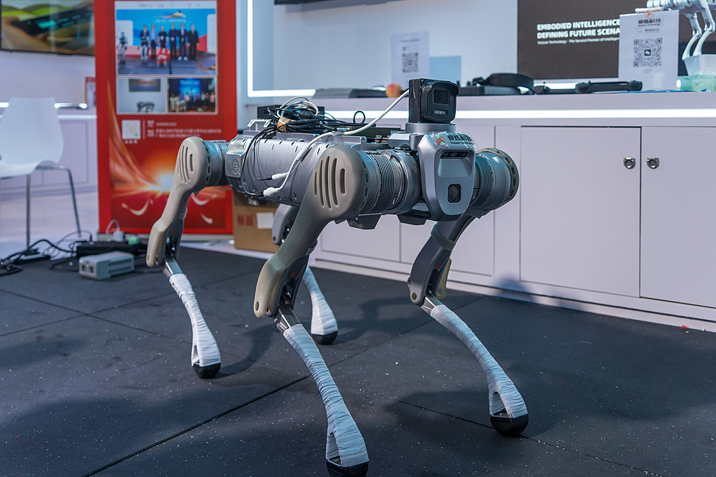 A robotic dog model being displayed in Guangzhou, China, September 20, 2025. /VCG