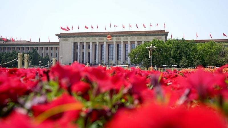 Self-Reform is strength: Why the Eight-Point Decision matters in China