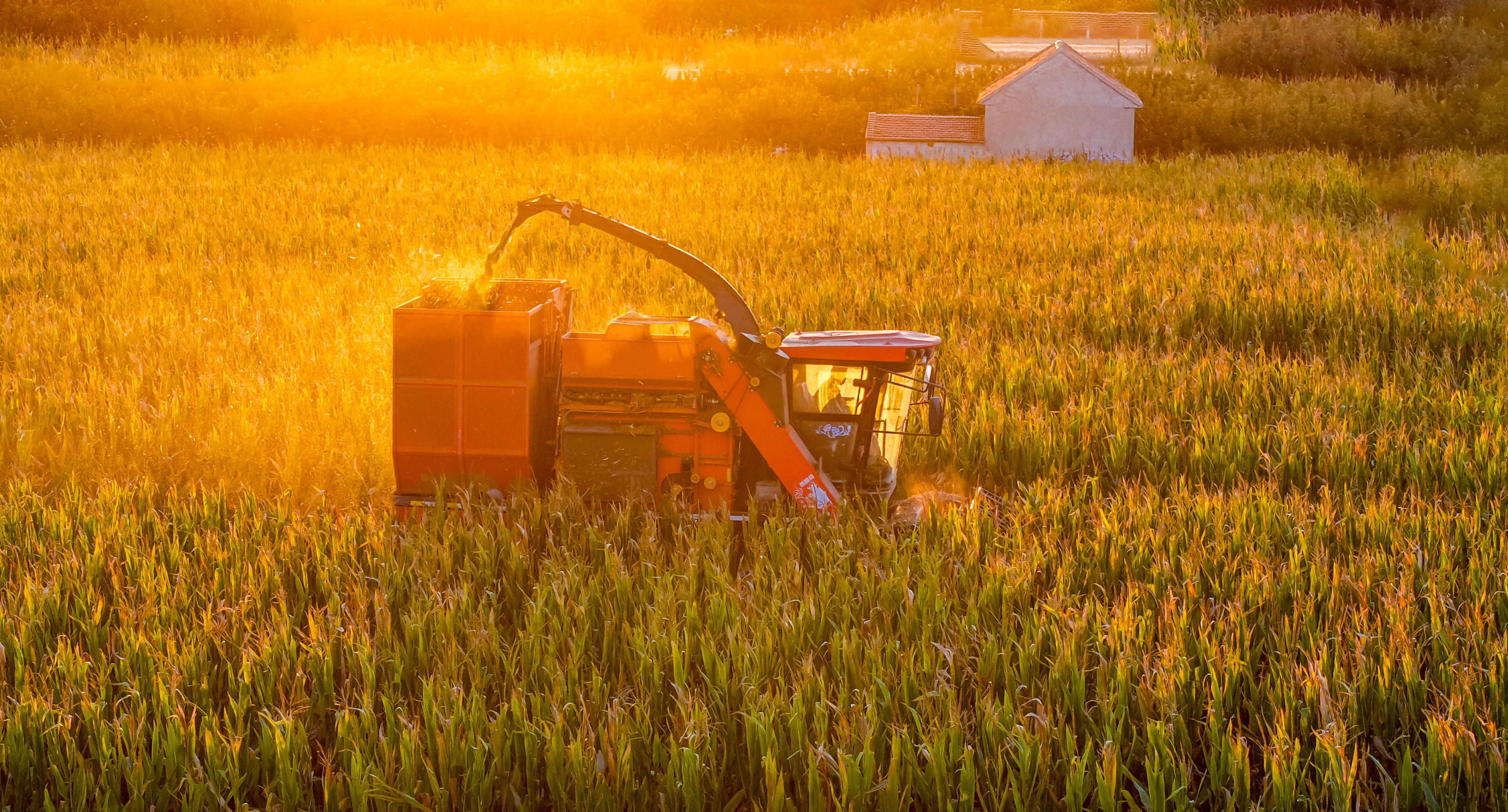 The photo shows harvesting underway in east China's Shandong Province. /Provided to CGTN