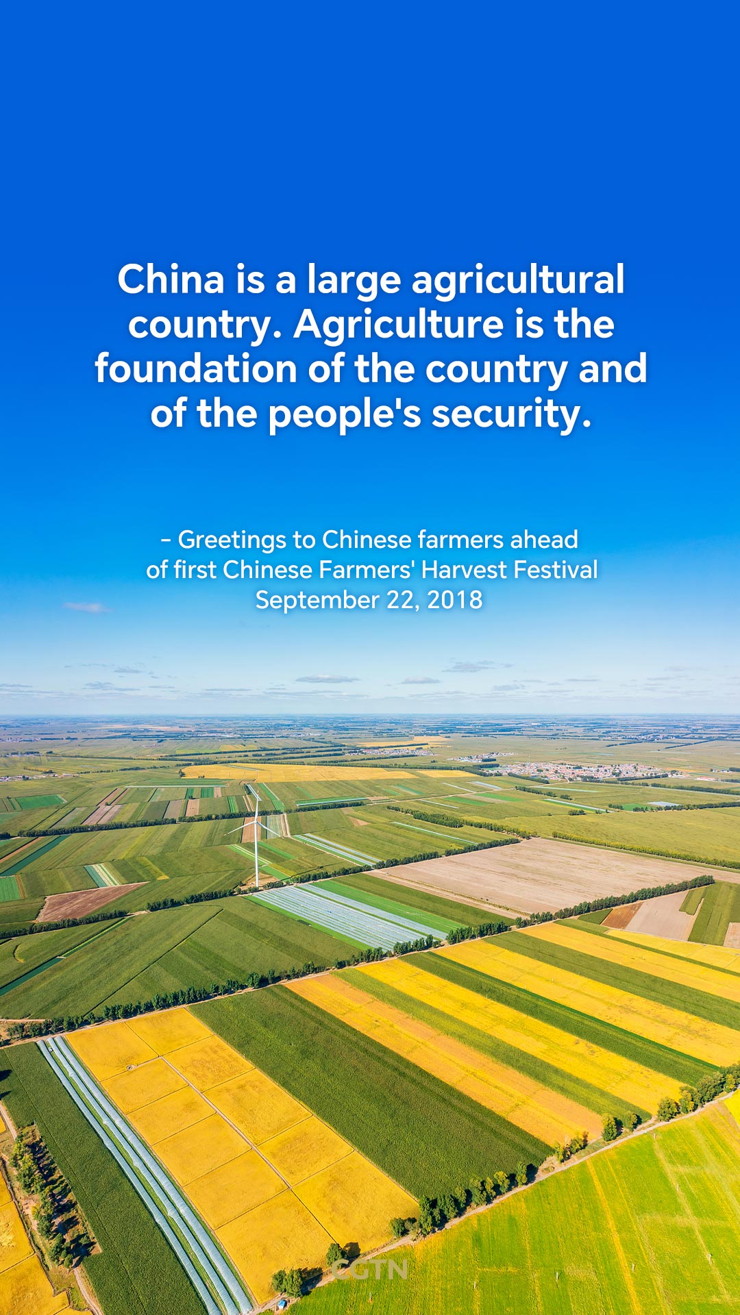 President Xi Jinping's key quotes on agriculture and rural areas