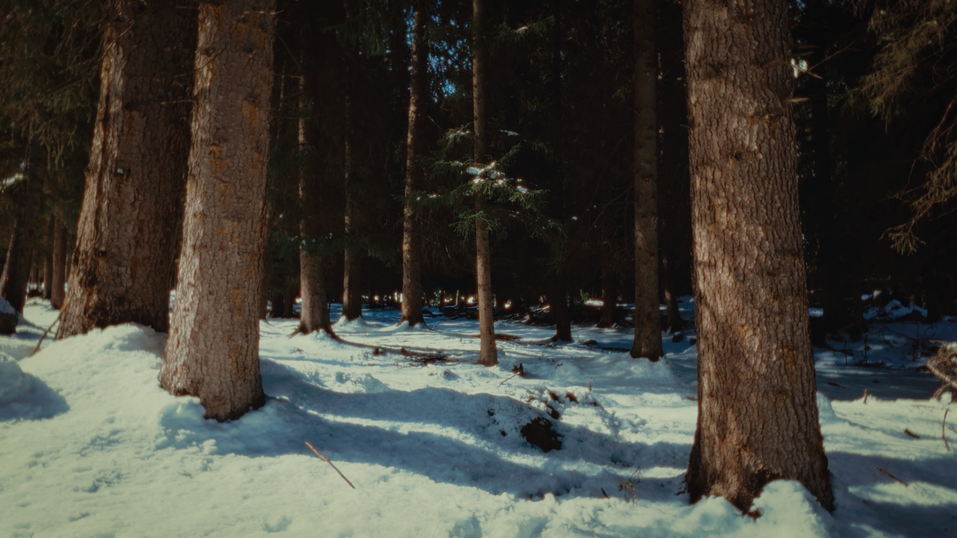 Talk Xinjiang｜Grassland and Saddle