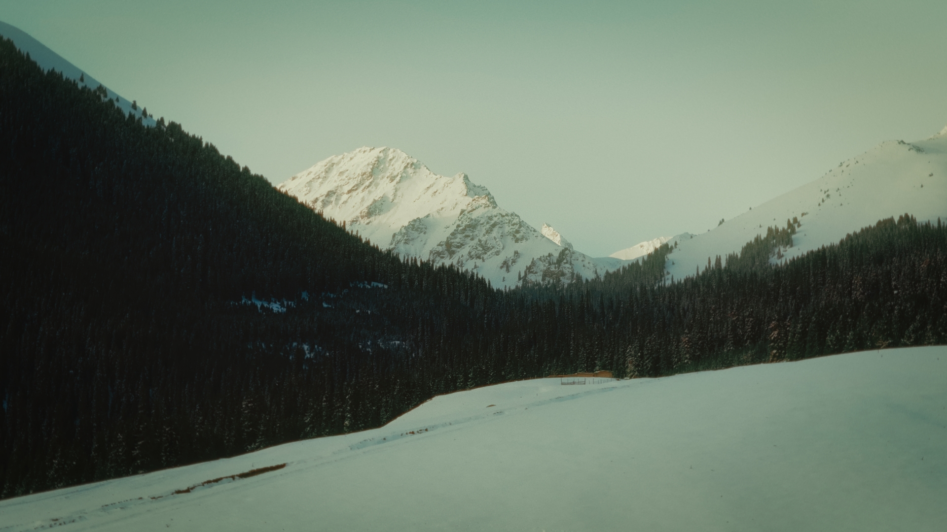 Talk Xinjiang｜Grassland and Saddle