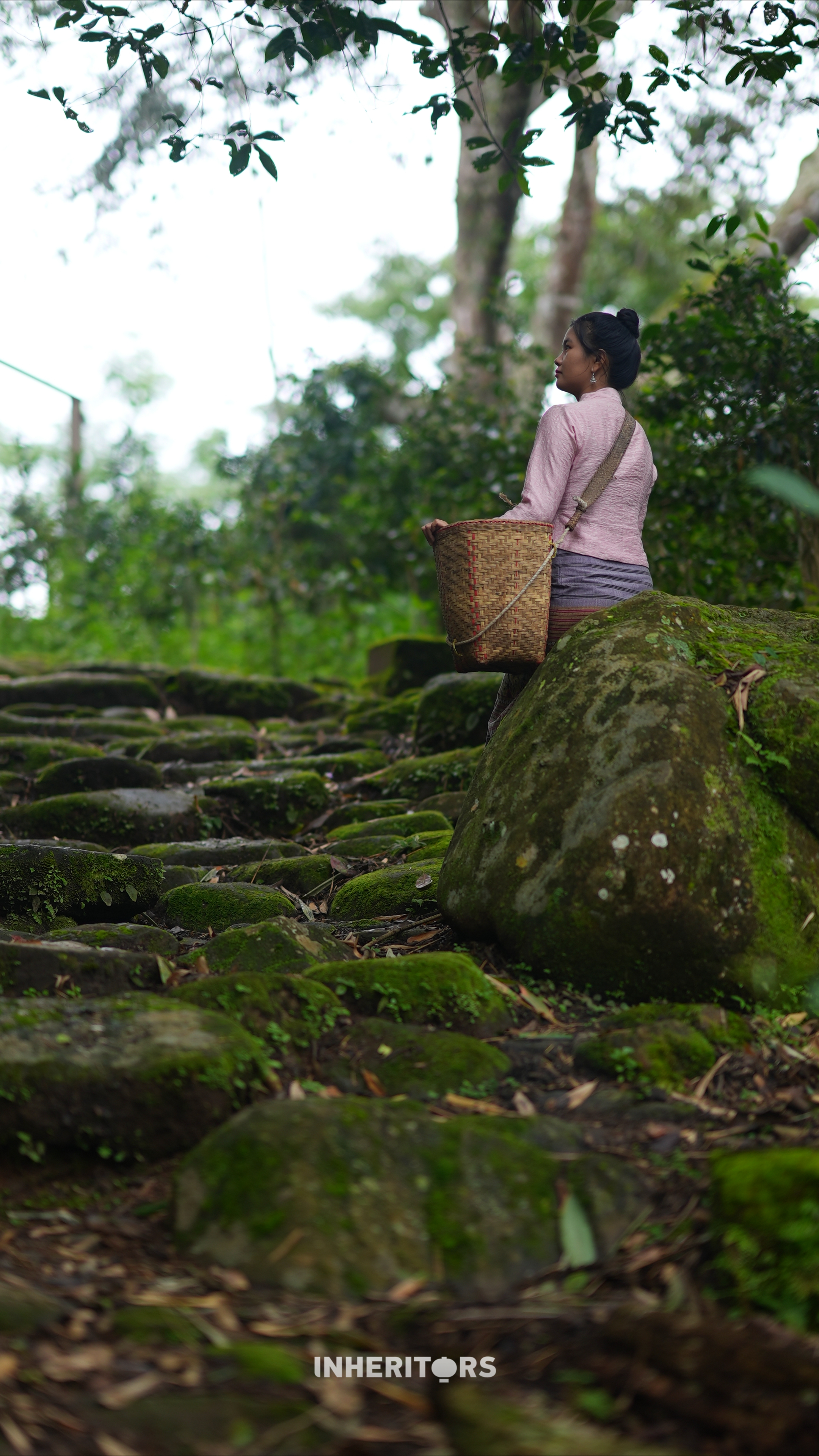 The weathered stone paths of Jingmai Mountain, Yunnan Province, still bear the hoofprints of the ancient Tea-Horse Road. /CGTN