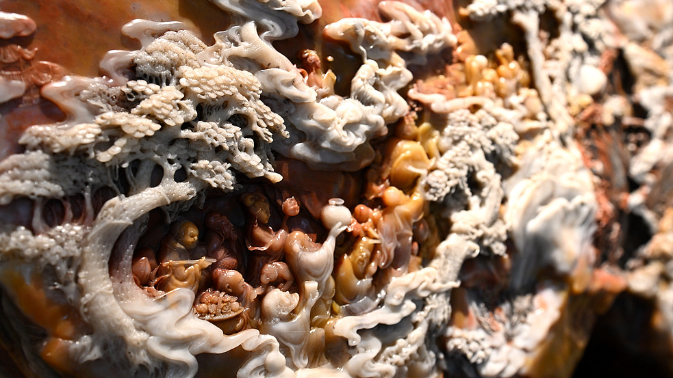 An artisan's fifty years of dedication to Shoushan stone sculpture