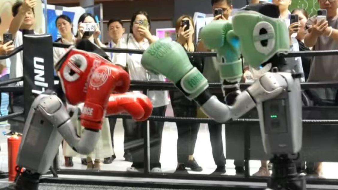 Global Digital Trade Expo opens in Hangzhou, showcasing AI innovations