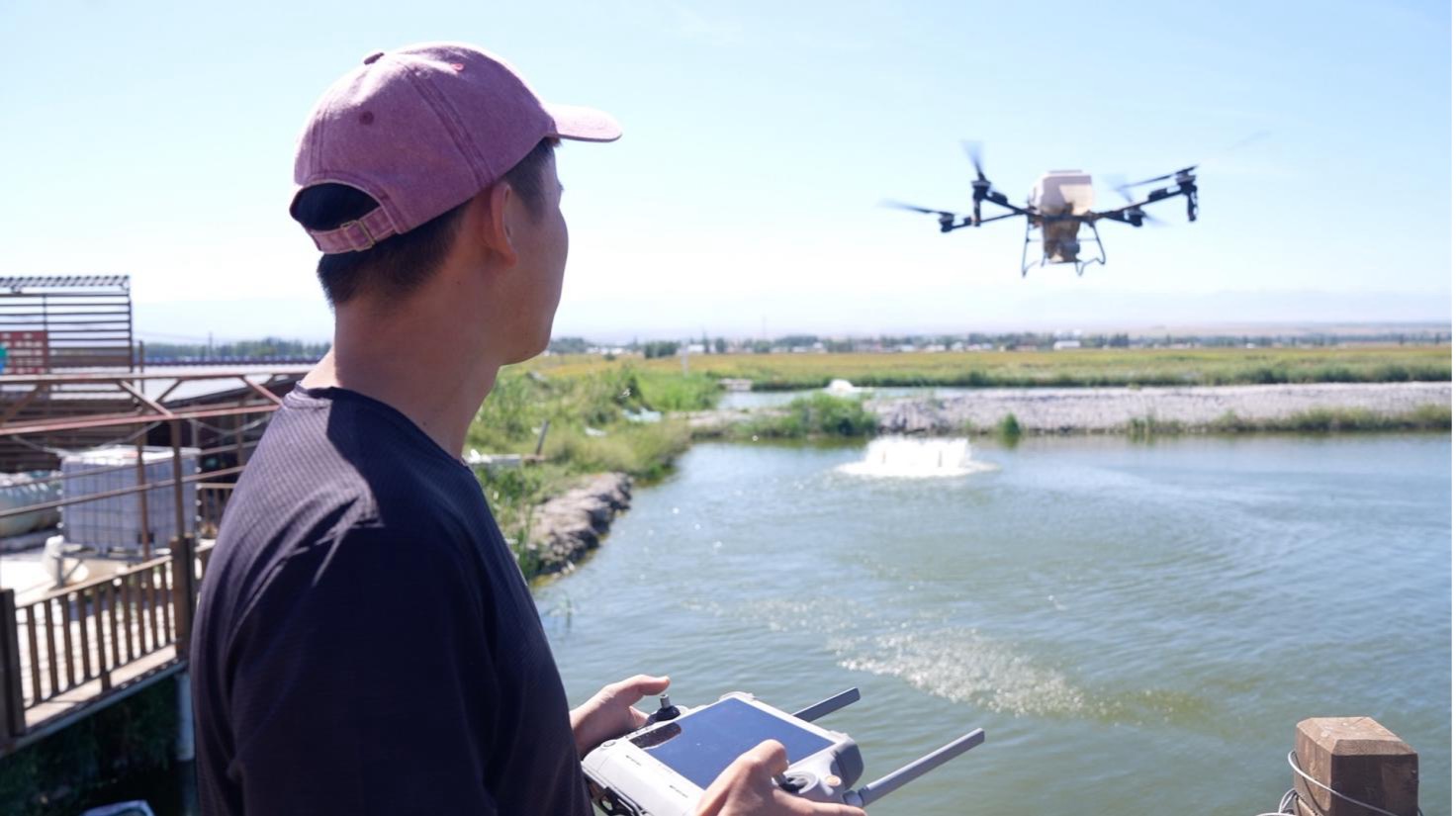 Farmer using a drone to feed fish and shrimp in a pond in Qapqal. /CGTN