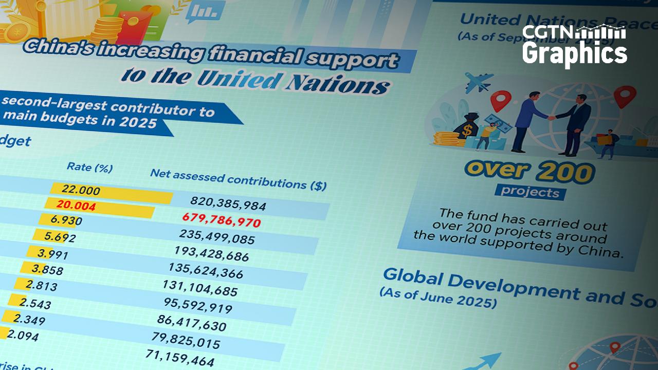 Graphics: China is the second-largest contributor to UN's budgets - CGTN