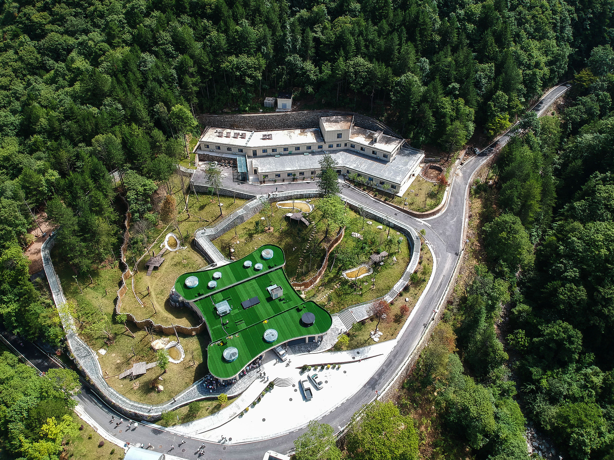 Foping Rescue, Breeding and Research Base of Qinling Giant Panda in Hanzhong City, Shaanxi Province, northwest China, July 21, 2023. /VCG