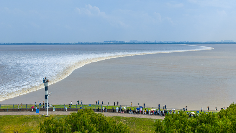 Live: Witness the 2025 Qiantang River tidal bore spectacle