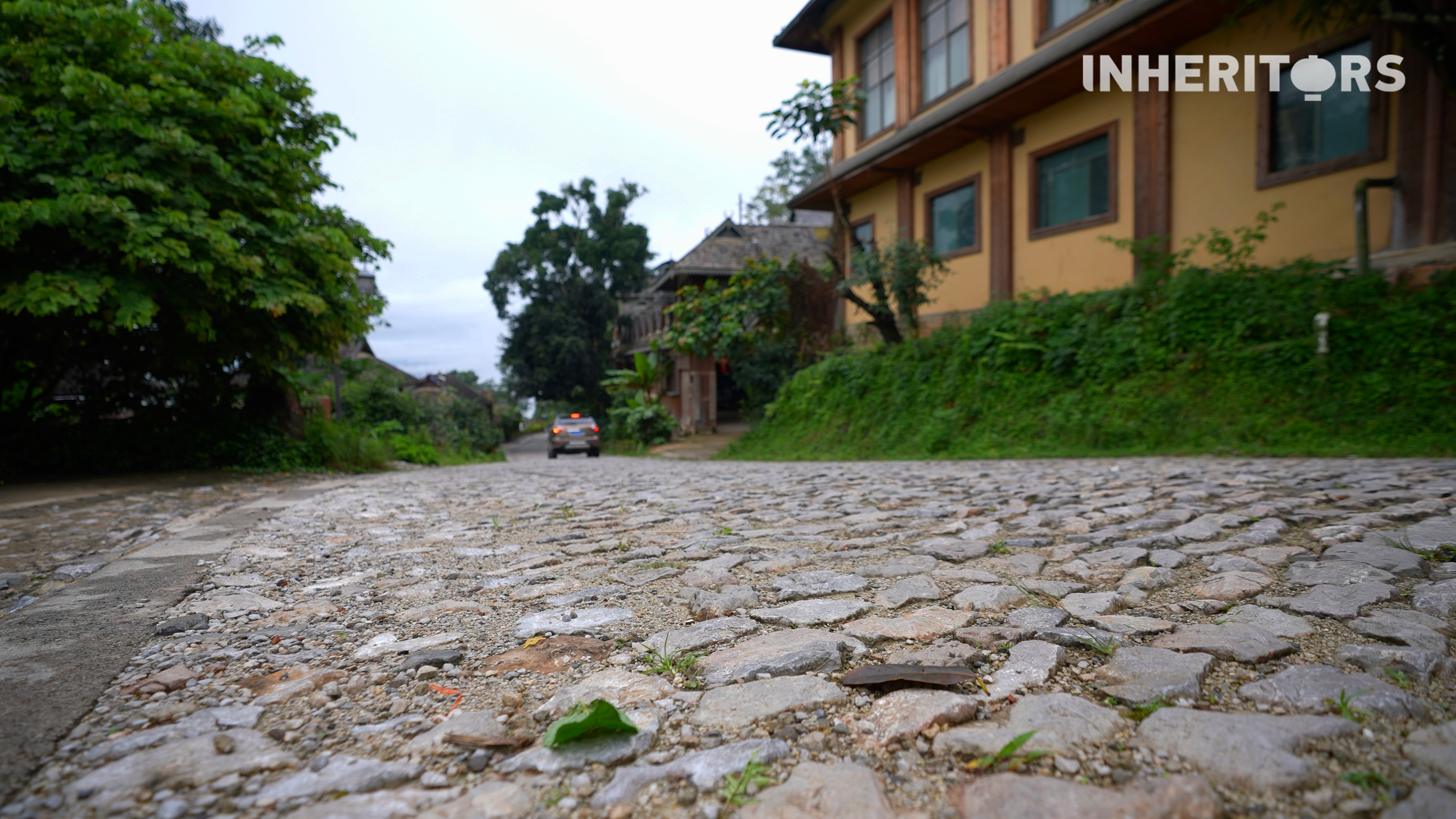 Cobblestone roads in Jingmai Mountain preserve the calm rhythm of the ancient tea forests. /CGTN