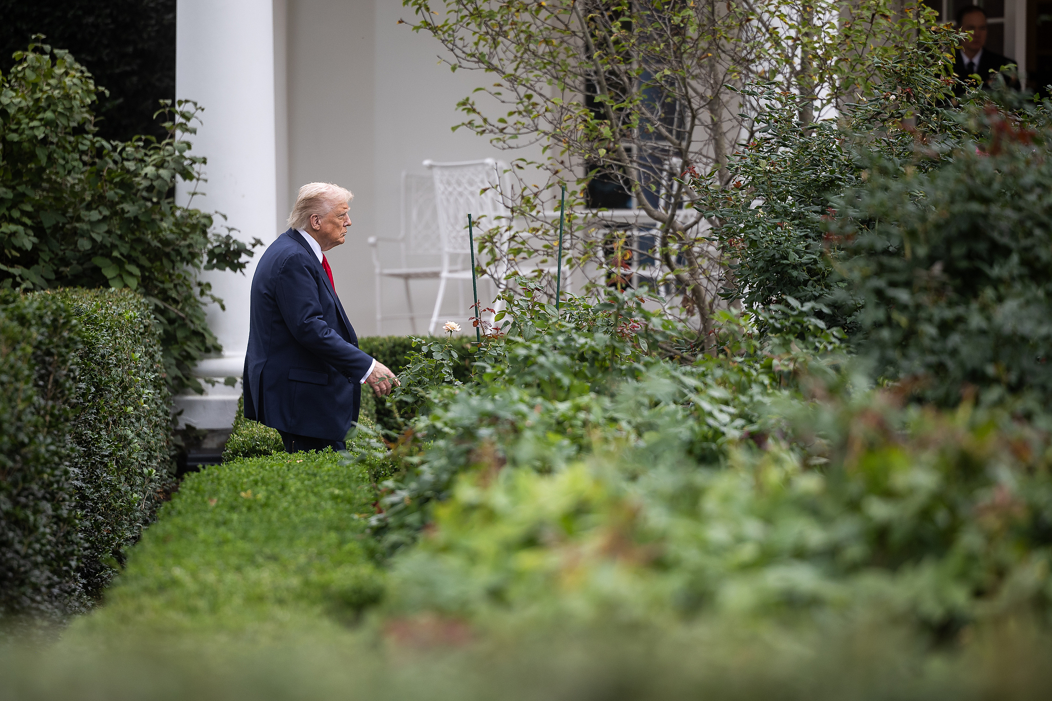U.S. President Donald Trump walks in the Rose Garden at the White House, the U.S., September 30, 2025. /CFP
