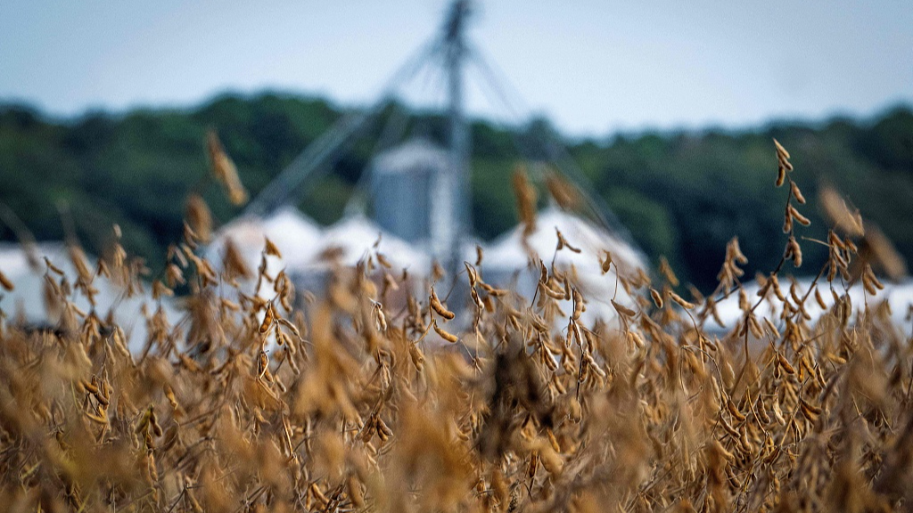 US agriculture takes a double punch from shutdown and tariffs