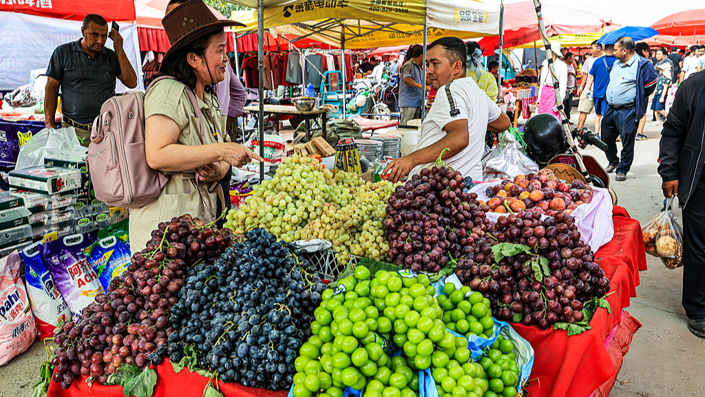Xinjiang's stability debunk Western misinformation: Egyptian expert