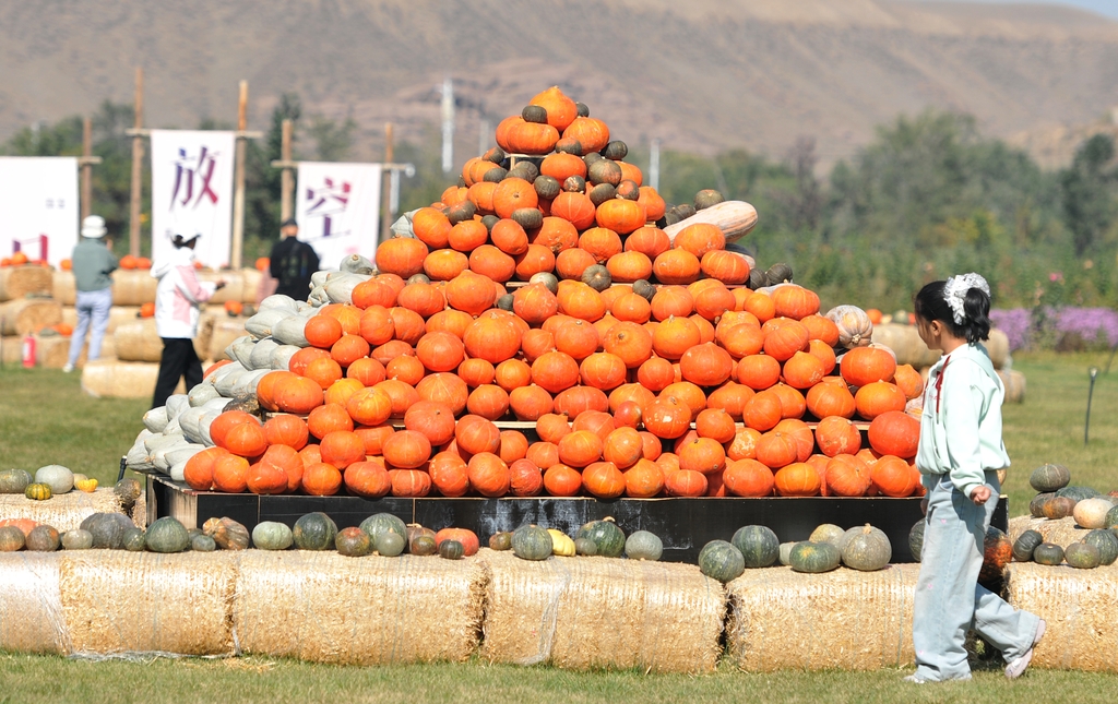A girl browses the pumpkin installations at the 3rd Pumpkin Art Exhibition in Urumqi, Xinjiang on October 3, 2025. /IC
