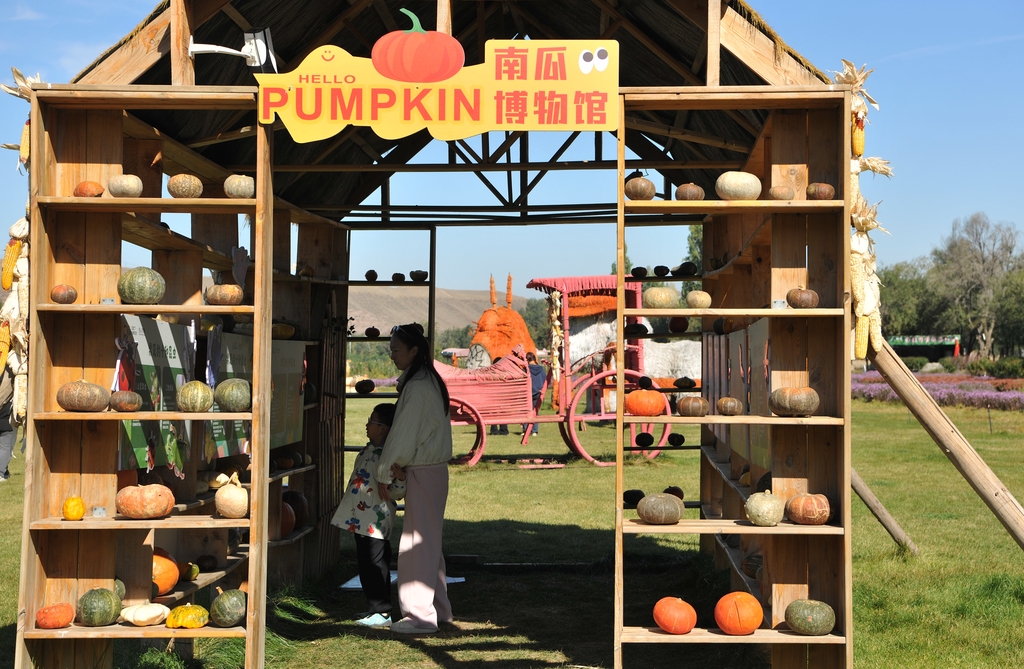 A pumpkin museum is seen at the 3rd Pumpkin Art Exhibition in Urumqi, Xinjiang on October 3, 2025. /IC