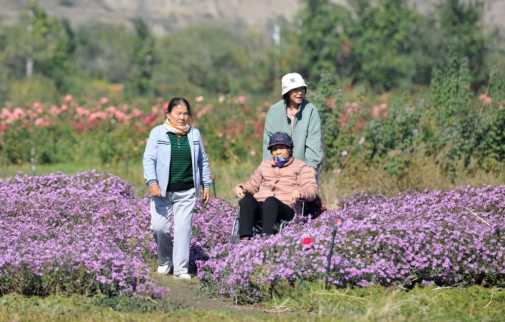 Visitors take a leisurely walk at the 3rd Pumpkin Art Exhibition in Urumqi, Xinjiang on October 3, 2025. /IC