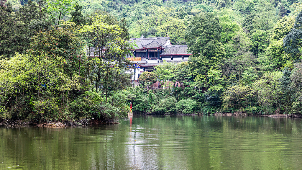 Live: Tranquility of Yuecheng Lake in Mount Qingcheng - Ep. 2