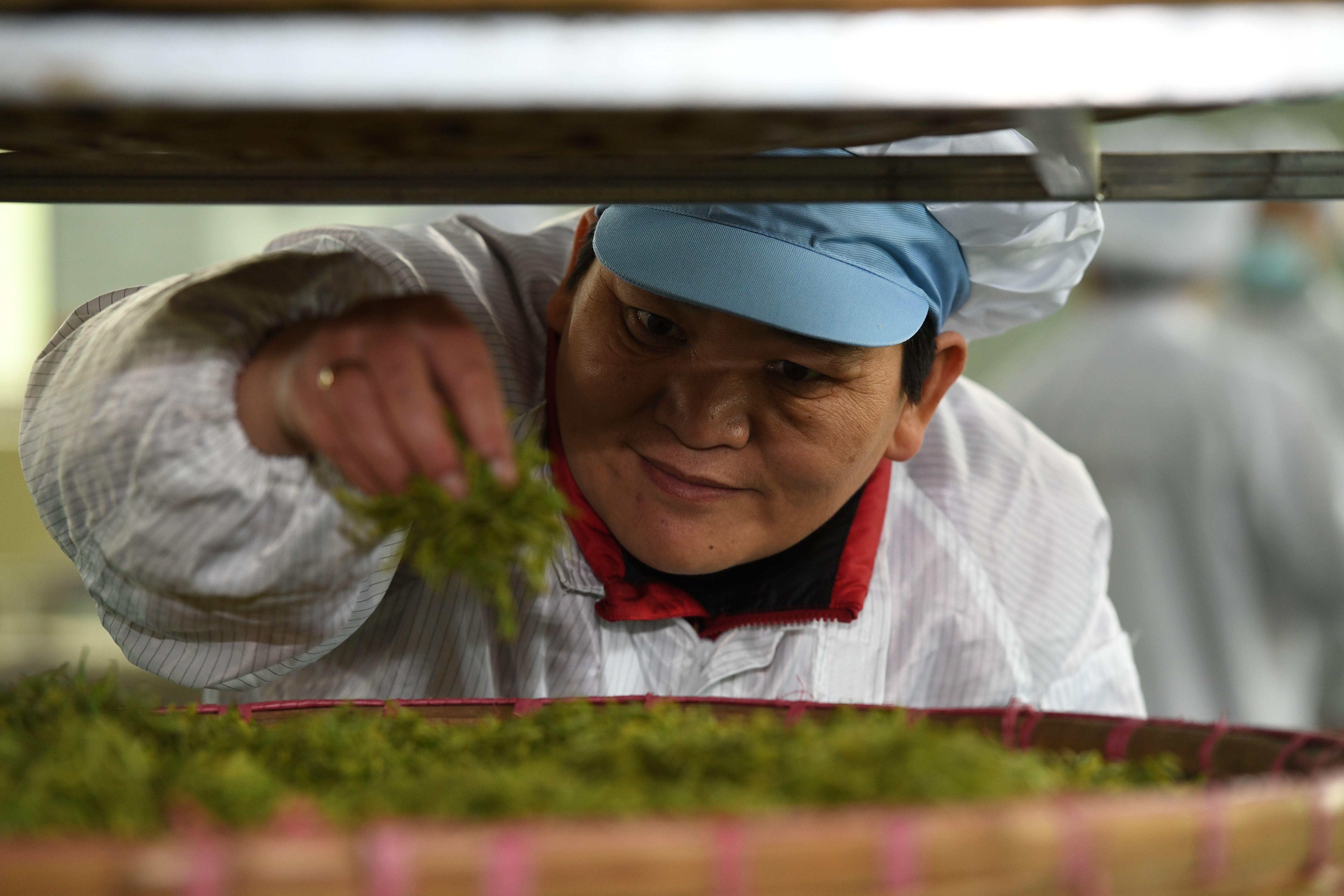 #HerVoice in the hills｜Huang Hongying and the tea fields of hope
