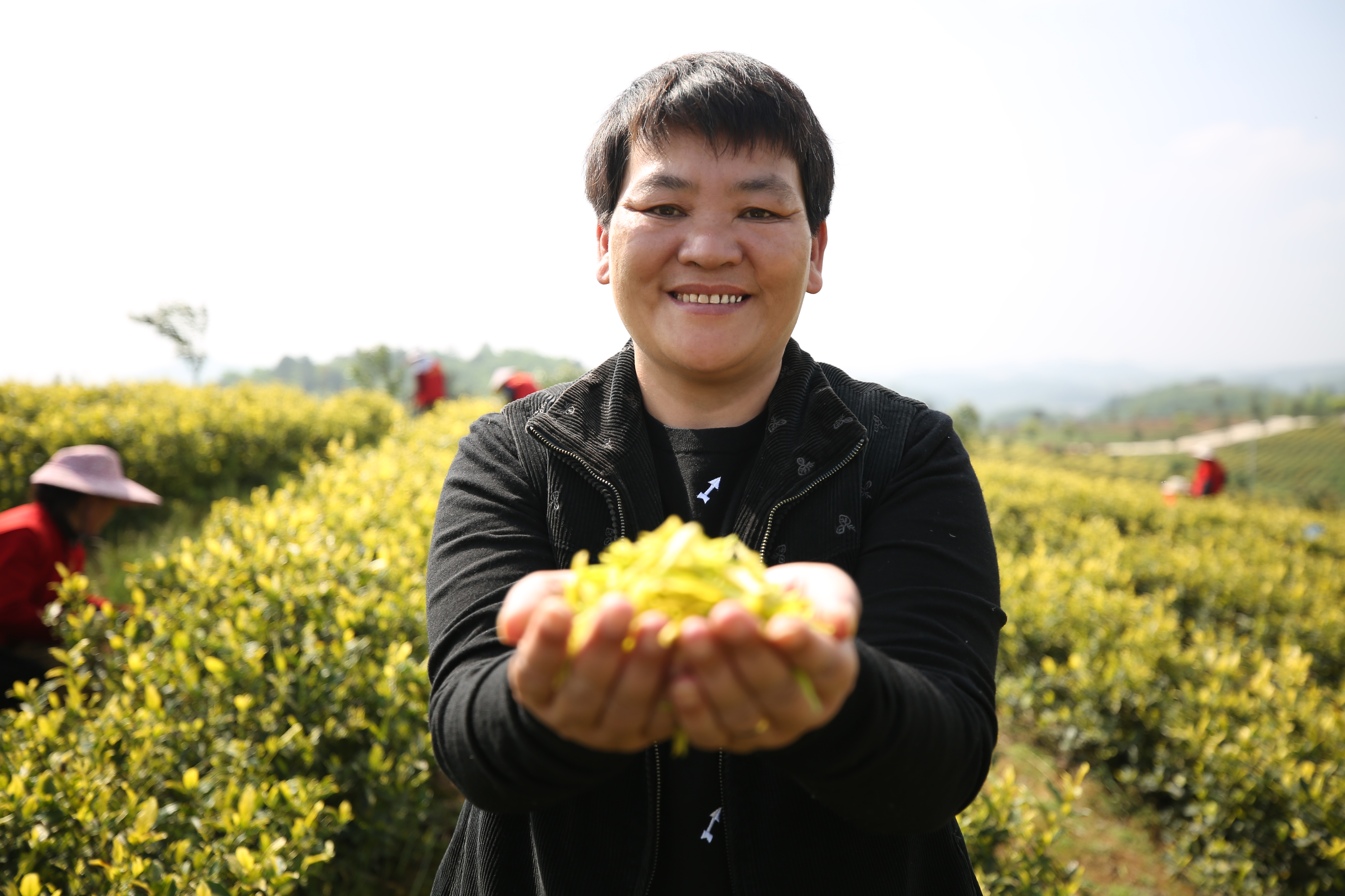 #HerVoice in the hills｜Huang Hongying and the tea fields of hope