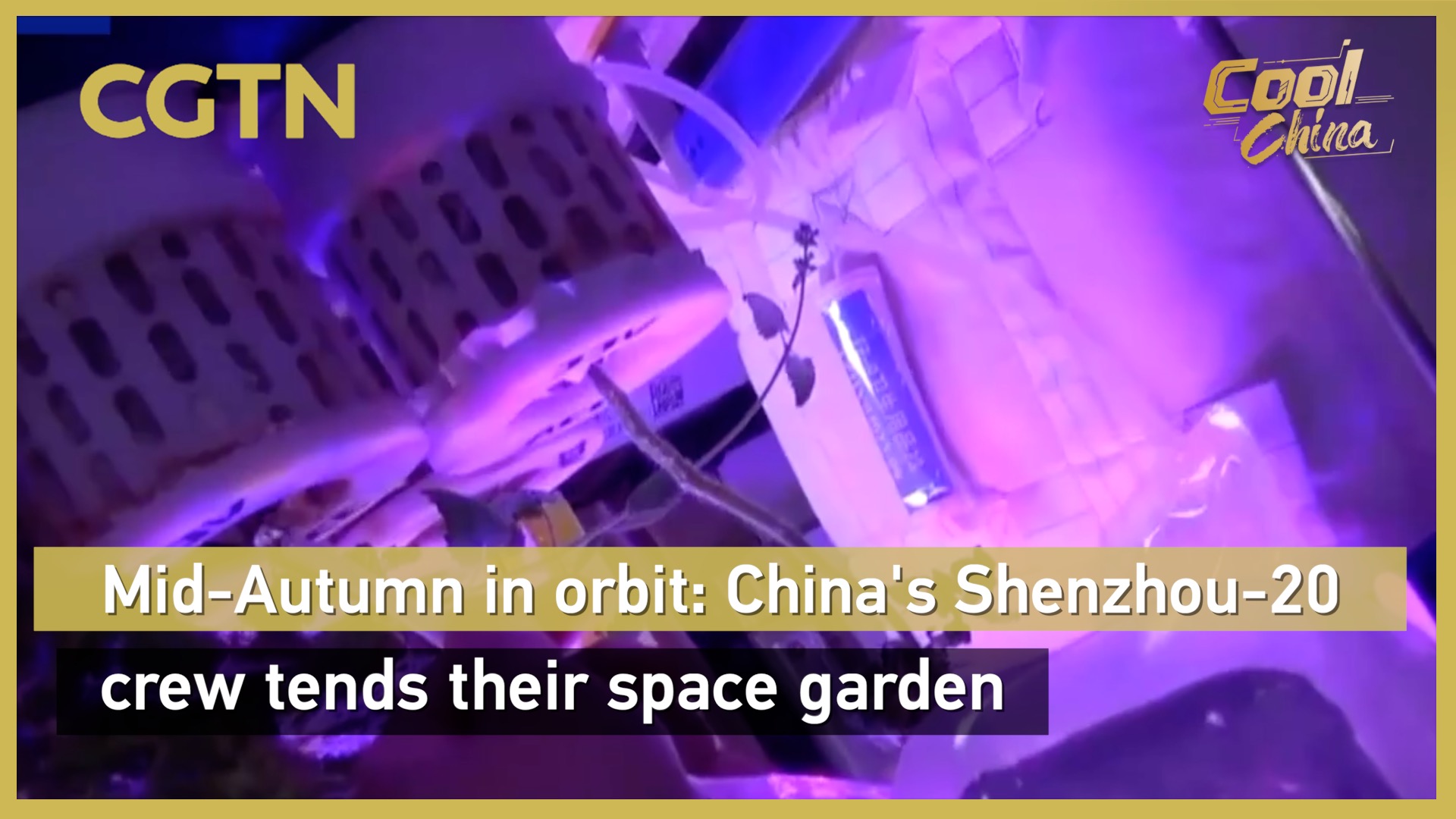 Mid-Autumn in orbit: China's Shenzhou-20 crew tends their space garden