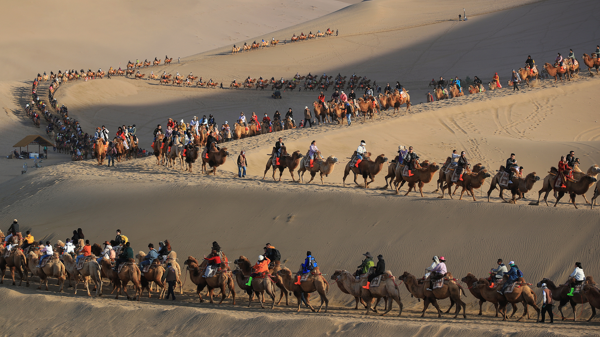 People enjoy the desert views from camels at the Mingsha Mountain and Crescent Spring scenic spot in Dunhuang, northwest China's Gansu Province on October 6, 2025. /VCG