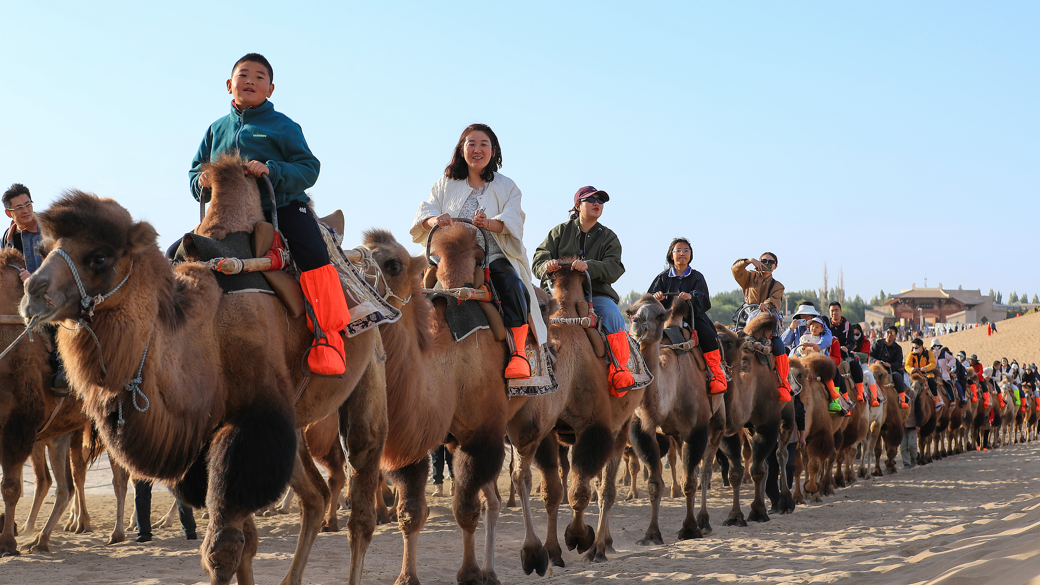 People enjoy the desert views from camels at the Mingsha Mountain and Crescent Spring scenic spot in Dunhuang, northwest China's Gansu Province on October 6, 2025. /VCG